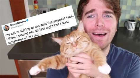 what did shane dawson do to his cat|shane dawson cat incident.